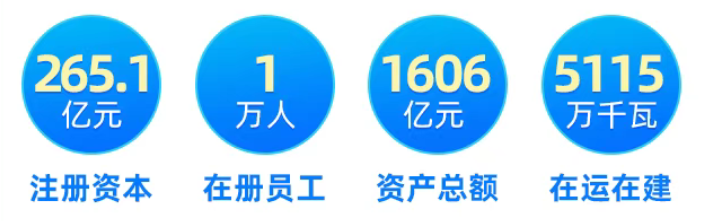 (图1)